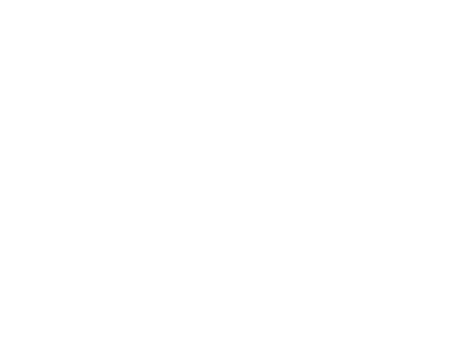 Raimondo Automobiles